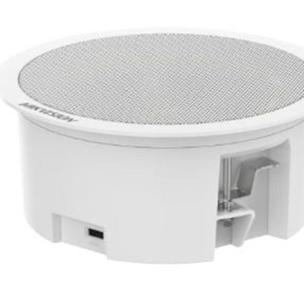 Hikvision DS-QAZ0203G1-S 3W Network Asma Tavan İkincil Hoparlörü