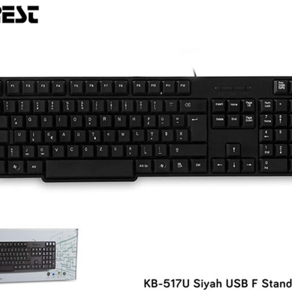 Everest KB-517UF Siyah USB F Standart Klavye