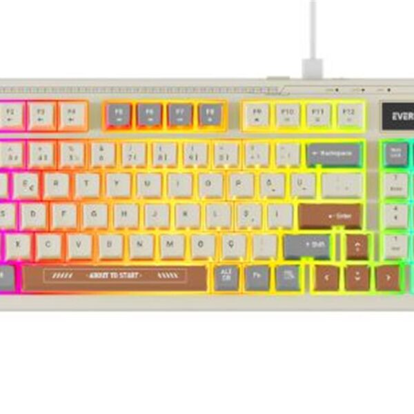 Everest KB-79 SILENT PRO Gri-Gri Mavi-Kahve SESSİZ RGB Q Membrane Oyuncu Klavyesi