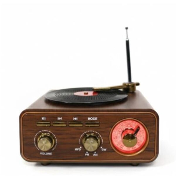 Everton RT-1317bt  Bluetooth Usb-Micro Plak Radyo