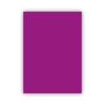 Bigpoint Fon Kartonu 50x70cm 120 Gram Mor