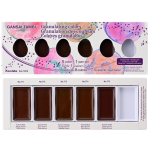 Zıg Suluboya Gansaı Tambı Mc20gn/6v Granulatıng Colors 6 Renk