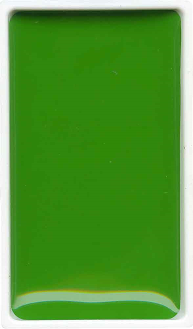 18167 Zıg Suluboya Gansaı Tambı Tablet Mc21- 51 Sap Green Lıght - Görsel 1