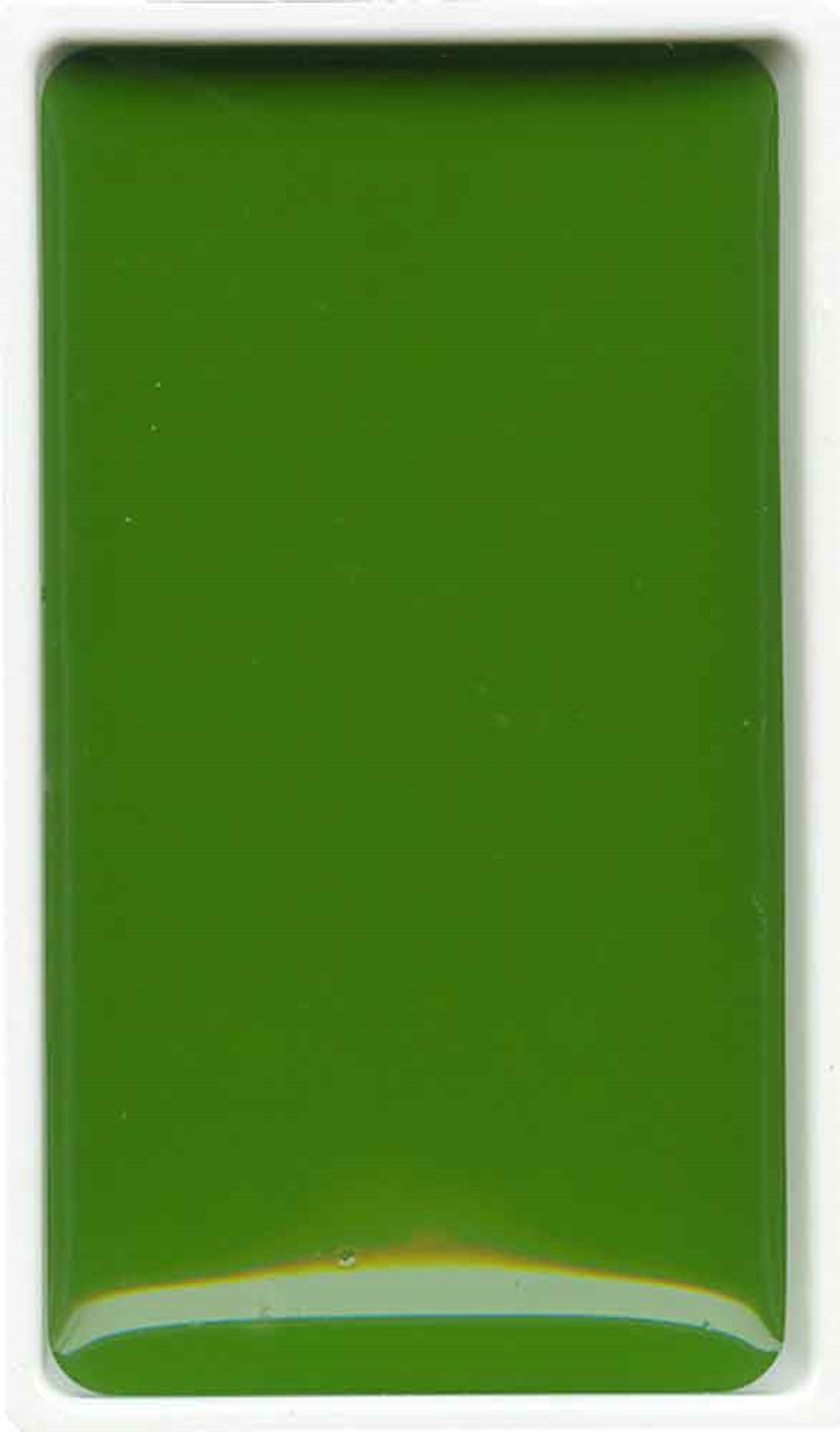 18169 Zıg Suluboya Gansaı Tambı Tablet Mc21- 53 Sap Green - Görsel 1