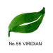 Zıg Cambıo Tambıen Pen Vırıdıan 055 X050t - Görsel 2