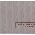 Dilman Tahsilat Makbuzu 2/50 2 Nüsha 4015
