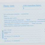 Dilman Senet Dolar 100 Lü 2317