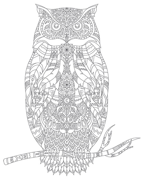 75452 Artdeco Tuval Desenli 40x50 Cm Hayvanlar Baykuş Y-100-p40.03 - Görsel 1