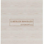 Dilman Serbest Meslek Makbuzu 2/50 3 Nüsha 4018