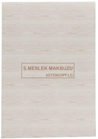 90091 Dilman Serbest Meslek Makbuzu 2/50 3 Nüsha 4018 - Görsel 1